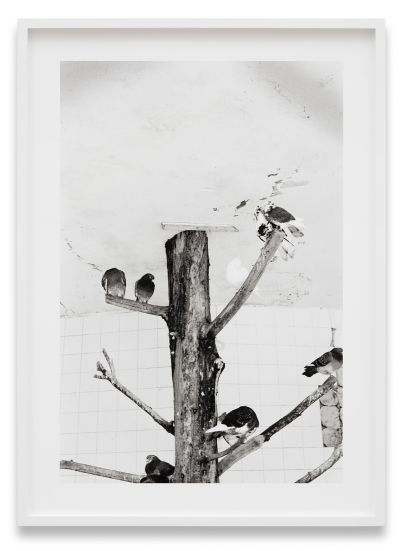 local talent – Group Exhibition – Berlin