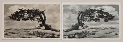 local talent – Group Exhibition – Berlin