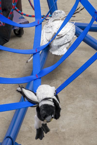 Lizzie Fitch / Ryan Trecartin