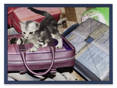 Lizzie Fitch / Ryan Trecartin