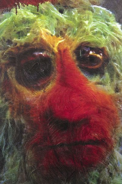 Jon Rafman – ὁμοίωμα – Oōeli, Hangzhou