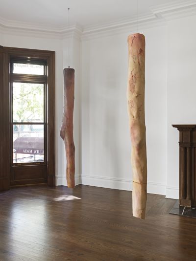 Kaari Upson – Body as Landscape – New York