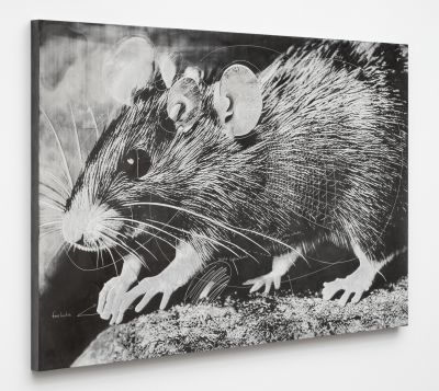 Analia Saban – Synthetic Self – Los Angeles