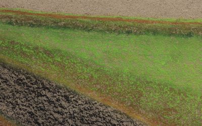 Richard Artschwager – New Mexico – Berlin