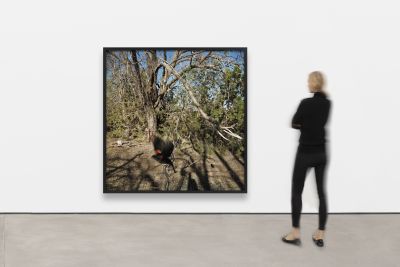 Jean-Luc Mylayne – Jean-Luc Mylayne – Berlin