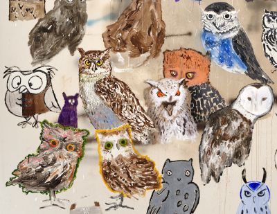 David Ostrowski – Parliament – New York