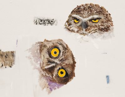 David Ostrowski – Parliament – New York