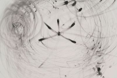 Jenny Holzer – WORDS – New York