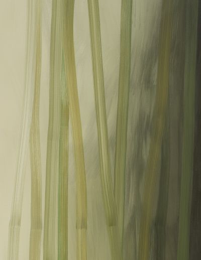 Hyun-Sook Song – Hyun-Sook Song – New York