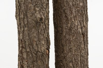 Lucy Dodd – The Return: Works from the North Sea – Berlin