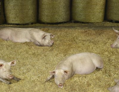 Andreas Gursky – Inherited Images – New York