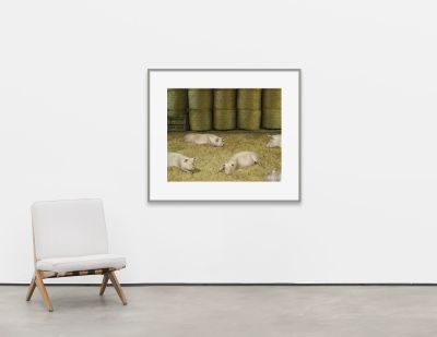 Andreas Gursky – Inherited Images – New York