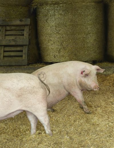 Andreas Gursky – Inherited Images – New York