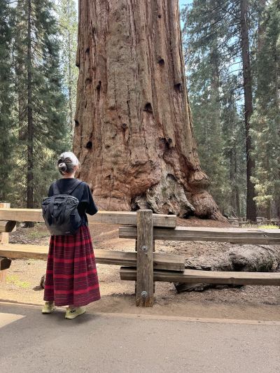 Andrea Zittel – Public Performance of the Self – Berlin