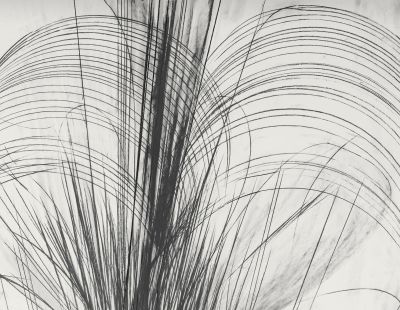 Sterling Ruby – Atropa – New York