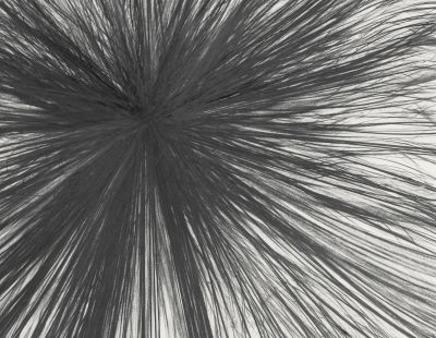 Sterling Ruby – Atropa – New York