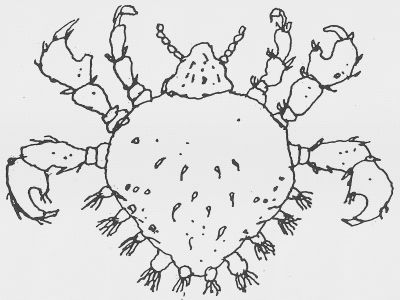 John Waters – Beverly Hills John – London