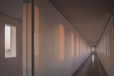Robert Irwin