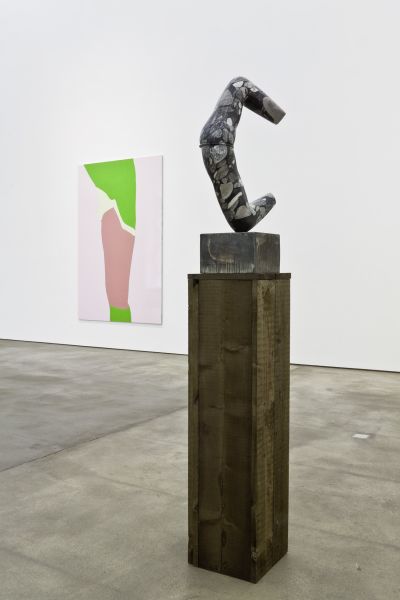 Gary Hume – Bird in a Fish Tank – Berlin