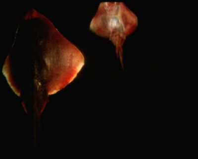 The Art of Narration Changes with Time – Group Exhibition – Berlin