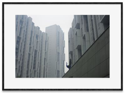 Cao Fei – Cao Fei – Los Angeles