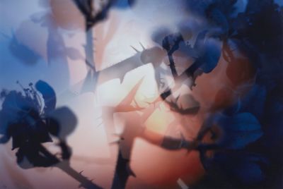 Peter Fischli David Weiss