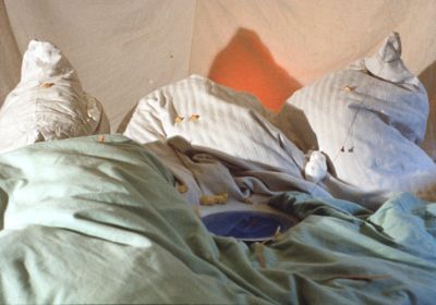 Peter Fischli David Weiss