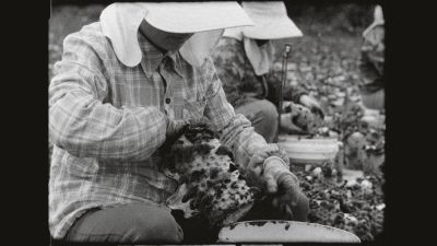 territory – Group Exhibition – Berlin