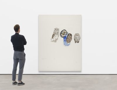 David Ostrowski – Parliament – New York