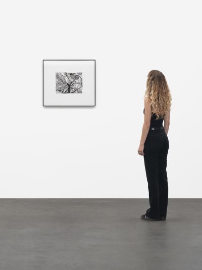 Sterling Ruby – Atropa – New York