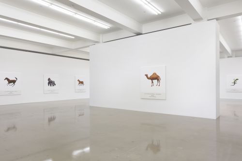 John Baldessari – John Baldessari – Los Angeles