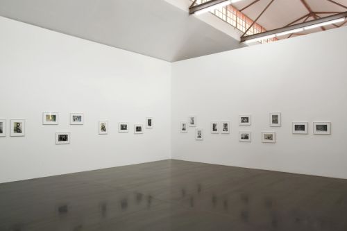 Peter Fischli David Weiss – Equilibres – Munich