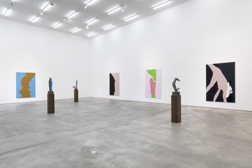 Gary Hume – Bird in a Fish Tank – Berlin