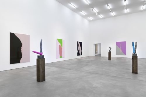 Gary Hume – Bird in a Fish Tank – Berlin