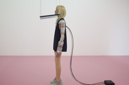 Andro Wekua – Some Pheasants in Singularity – London