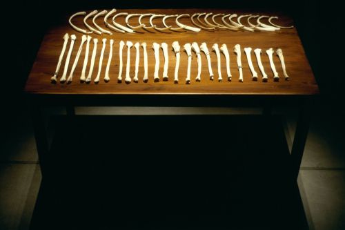 Jenny Holzer – Lustmord – Cologne