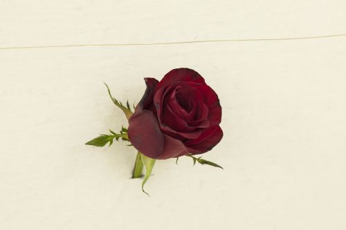 Arte Povera and ‘Multipli’ Torino 1970–75 – Group Exhibition – Berlin