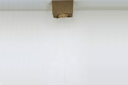 A. R. Penck, Rosemarie Trockel – A. R. Penck at Monika Sprüth Galerie, Rosemarie Trockel at Galerie Michael Werner – Cologne