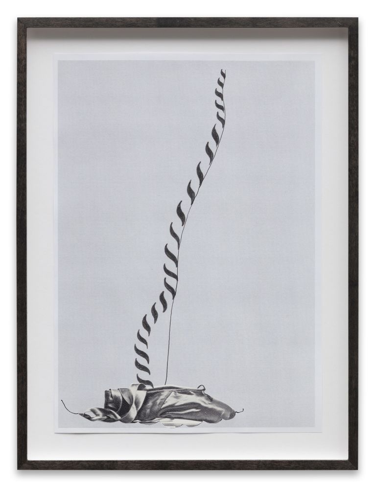 Mathew Hale / Eddie Ruscha
More Sheer, 2020
Ink, laser-copy toner, printed matter, on paper
21 &times; 29.7 cm
8 1/4 &times; 11 3/4 inches