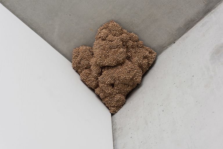 Omer Fast
Cluster #5, 2020
Cherry pits, styrofoam, wood
19.5 &times; 31 &times; 31 cm
7 3/4 &times; 12 1/8 &times; 12 1/8 inches