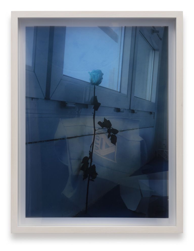 Ketuta Alexi-Meskhishvili
Blue Rose Aldi Tüte, 2020
Two archival pigment prints on screen film in a box frame
30.6 × 22.7 cm
12 × 9 inches
Edition of 2 + 2 AP