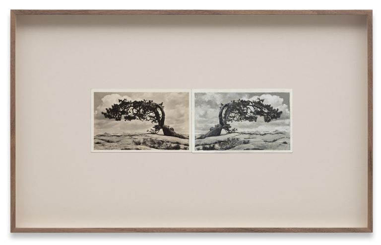 Tacita Dean
Sentinel, 2020
Two found postcards, one painted with gouache
30.5 × 49 cm (framed)
12 × 19 1/4 inches (framed)