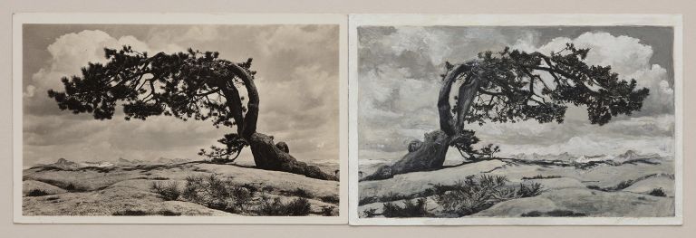 Tacita Dean
Sentinel, 2020
Two found postcards, one painted with gouache
30.5 × 49 cm (framed)
12 × 19 1/4 inches (framed)