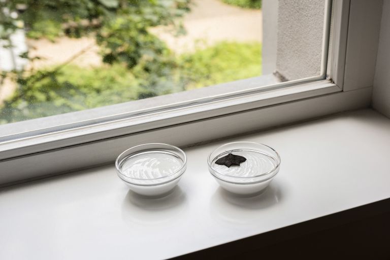 Akinori Tao
A measure of life, 2019
Polyurethane, silicone, clay, ink, glass bowls
Dimensions variable
Installation dimensions at Sprüth Magers, Berlin:
4.5 × 26.5 × 10.5 cm
Dimensions variable
Installation dimensions at Sprüth Magers, Berlin:
1 3/4 × 10 3/8 × 4 1/8 inches