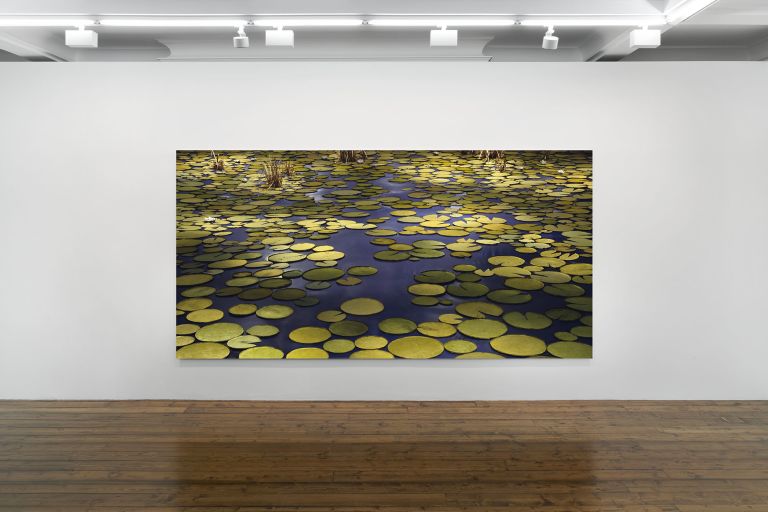 Thomas Demand
Pond, 2020
C-print/Diasec
200 &times; 399 cm
78 3/4 &times; 157 inches