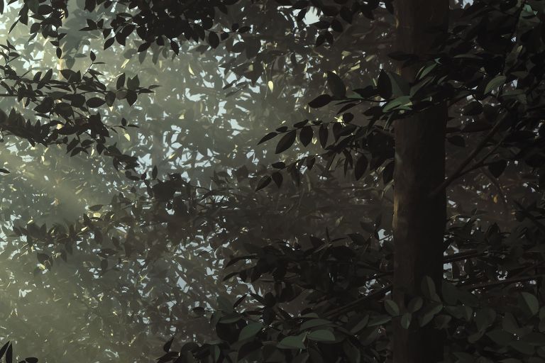 Thomas Demand
Clearing, 2003 (detail)