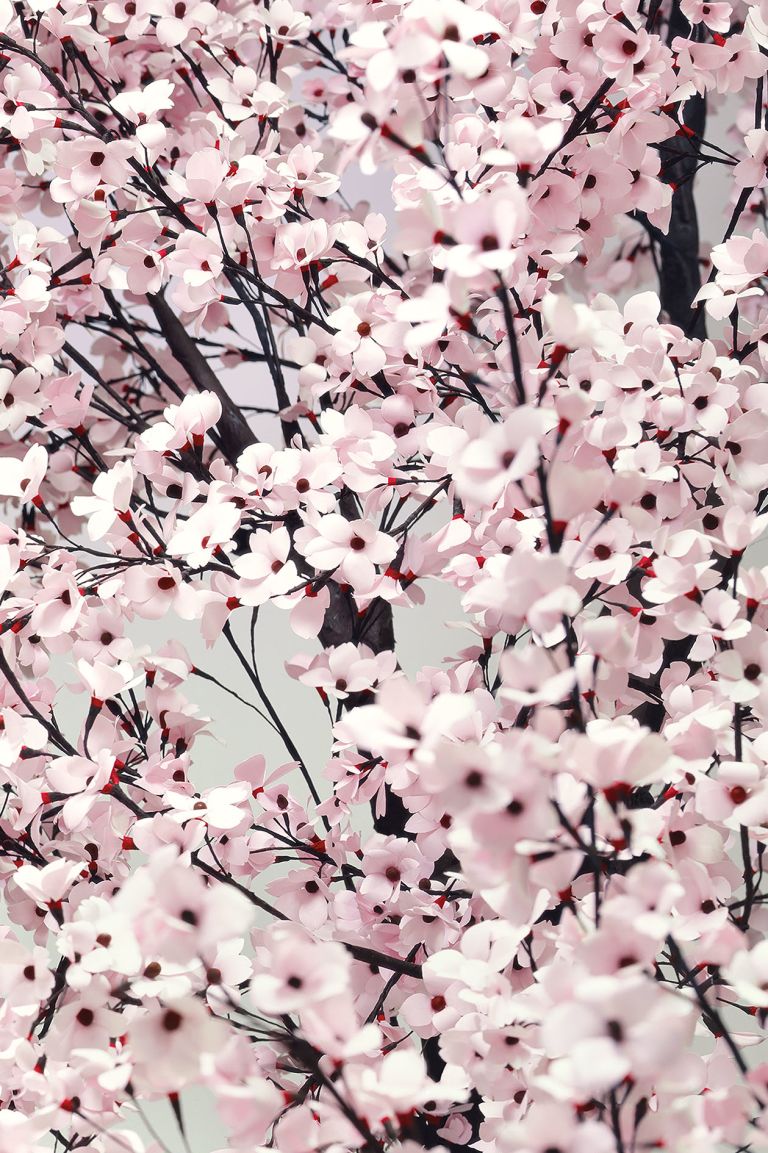 Thomas Demand
Bloom, 2014 (detail)