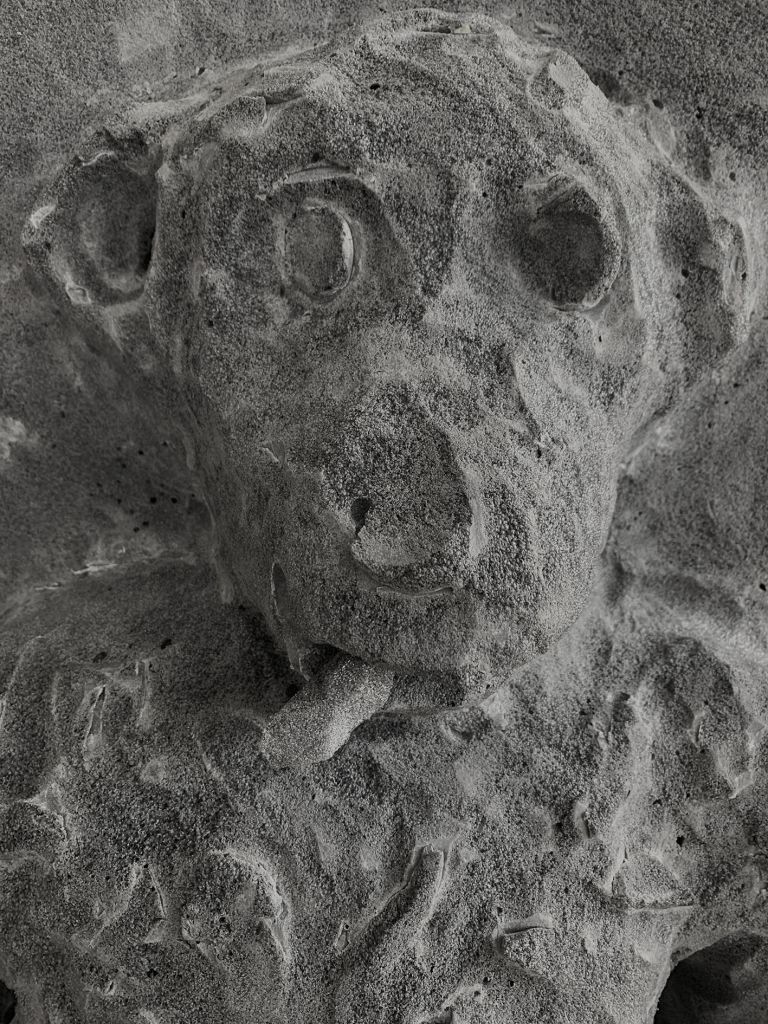 Peter Fischli
RELIEFS (Monkey 20), 2021 (detail)