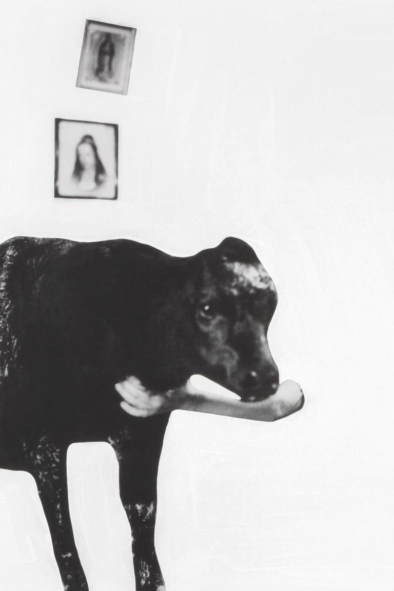 John Baldessari
The Space Between Pictures, Calf With Arm and Bowl With Arm., 2019 (detail)