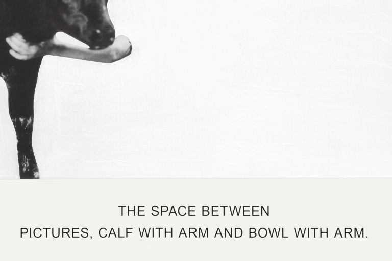 John Baldessari
The Space Between Pictures, Calf With Arm and Bowl With Arm., 2019 (detail)